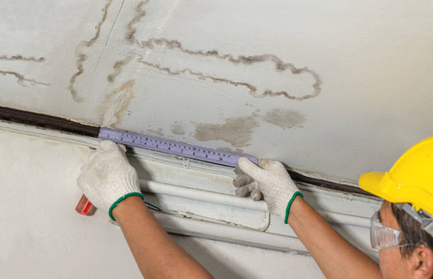 Reliable Water Damage contractor in Charleston, ME by Water Damage Irwin